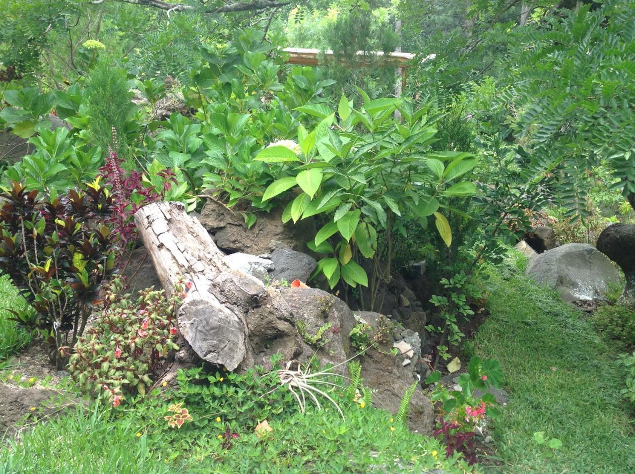 Hotel Y Bungalows Ecologicos Marcelo Santiago Atitlan Exterior photo
